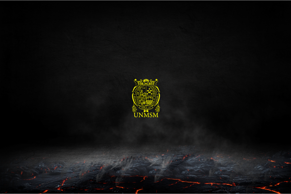 Intensivo San Marcos